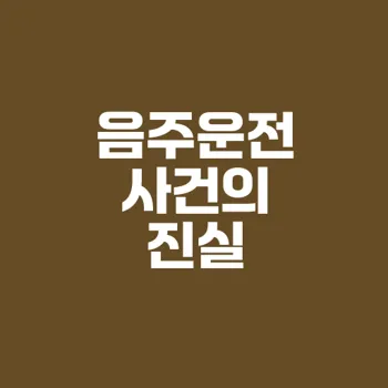 음주운전 교통사고처리특례법 위반 사례 분석