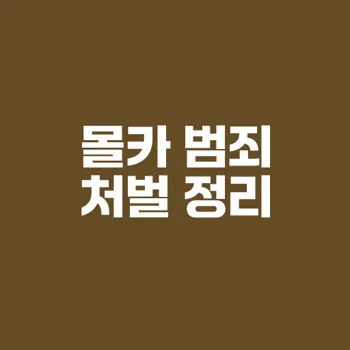 몰카범처벌 수위와 유형, 사례 완벽 안내