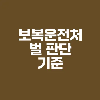 보복운전처벌 법과 형량, 대응 방법 완벽 가이드