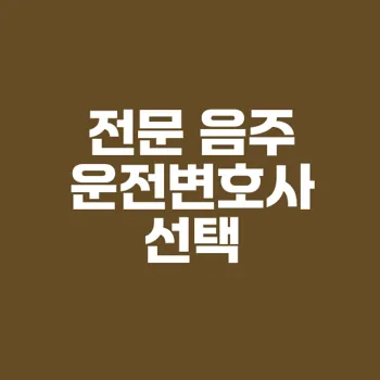 음주운전변호사로 처벌 방어 전략 완벽 이해하기