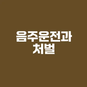 음주운전 초범 처벌 및 구속 가능성